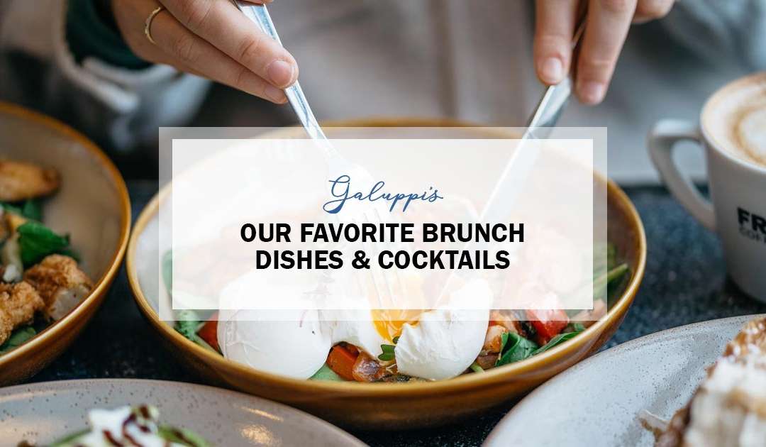 Our Favorite Brunch Dishes & Cocktails
