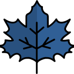 thanksgiving buffet pompano beach