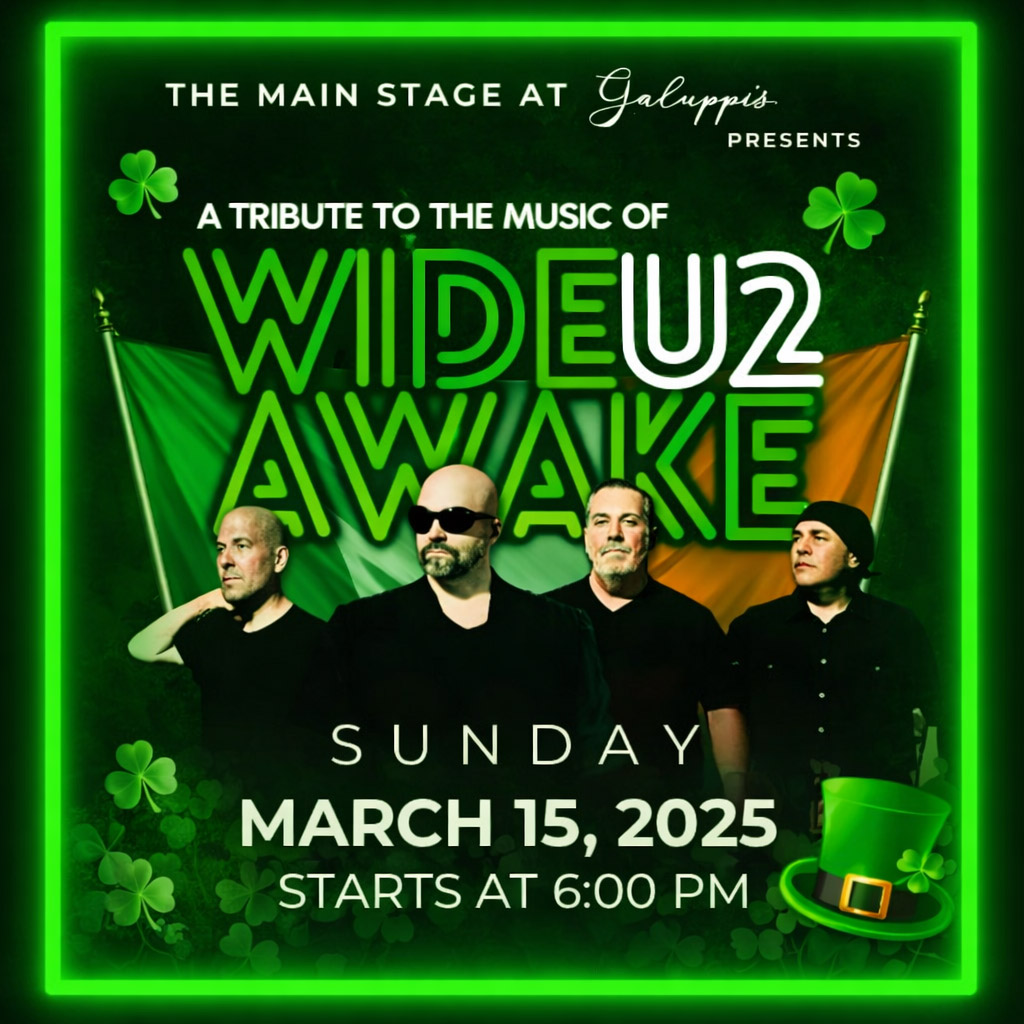 wide awake u2 tribute band