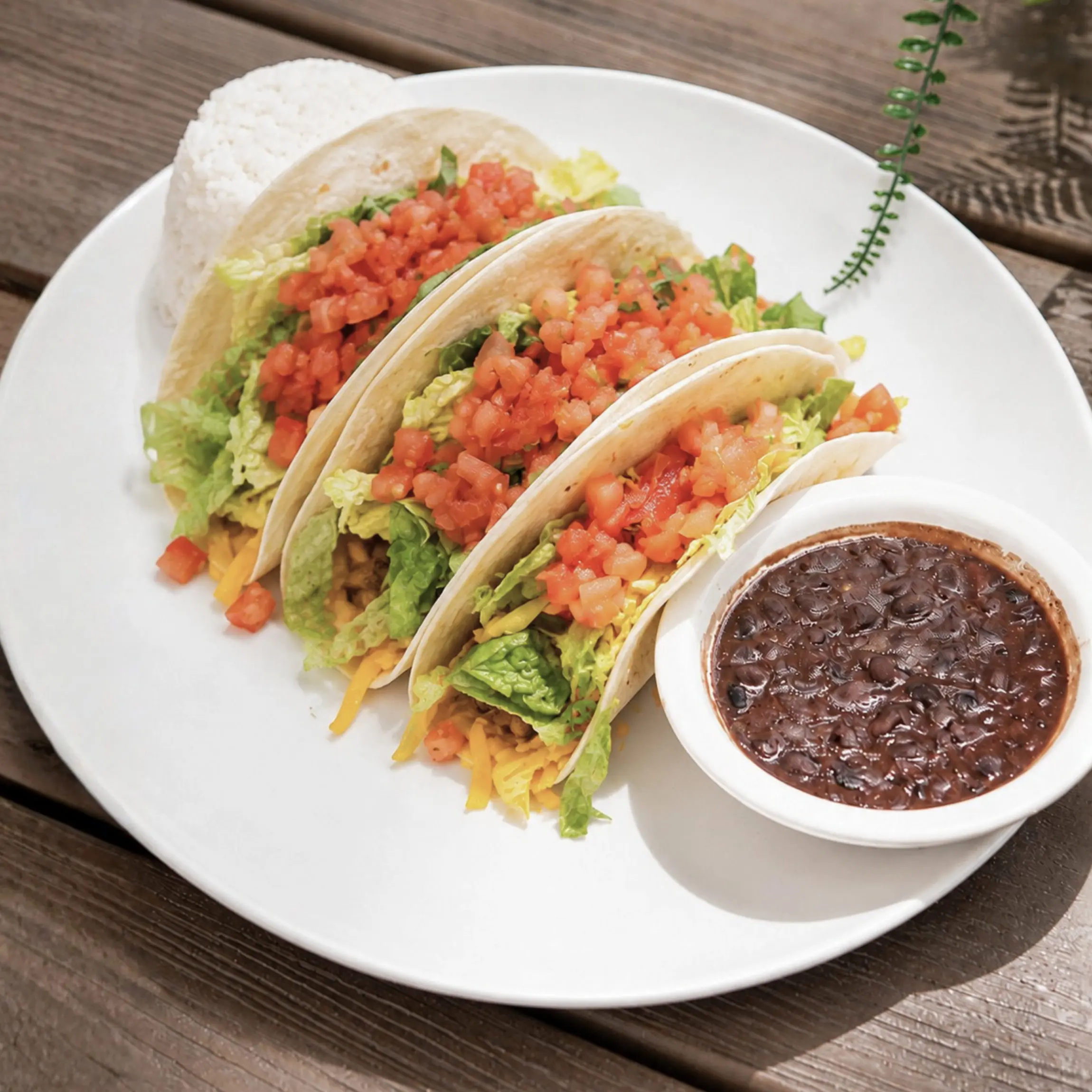 bottomless tacos happy hour special pompano beach