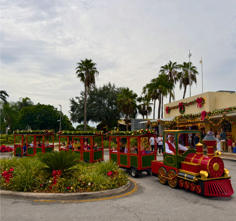 MAGIC TRAIN RIDE
